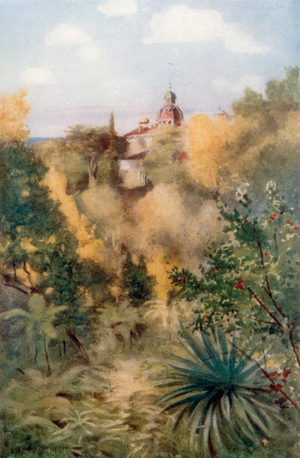 The Tropical Glen, Monserrate (colour litho)