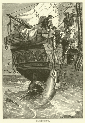 Shark-fishing (engraving)
