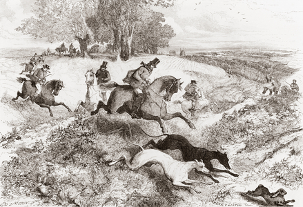 Hare coursing, the pursuit of hares with greyhounds, in England in the 19th century, from Album-Evenement, Prime du Journal L'Evenement, pub. 1865
