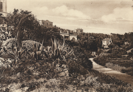 Sainte-Maxime, Cote D’Azur: Paysage Provencal (b/w photo)