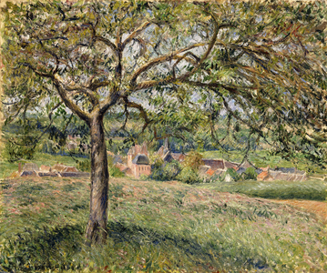 Apple Tree in Eragny, 1884 (oil on canvas)