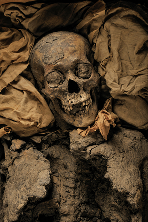 Mummy of Amenhotep III, King Tut's grandfather, KV 35, Tutankhamun; 18th Dynasty; New…, 2005 (photo)