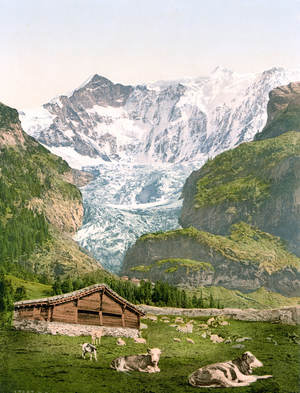 Grindelwald, 1895
