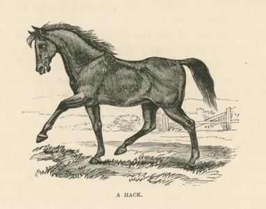 A Hack (engraving)