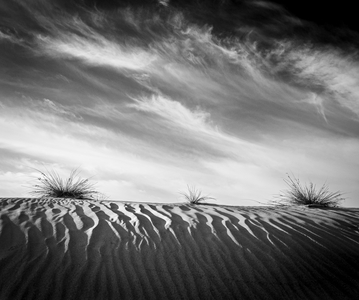 Traces of Tomorrow, 2021 (photo)