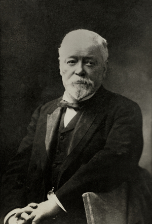 Portrait of the French painter Olivier Merson ( 1846 , 1920 ) (photograph)