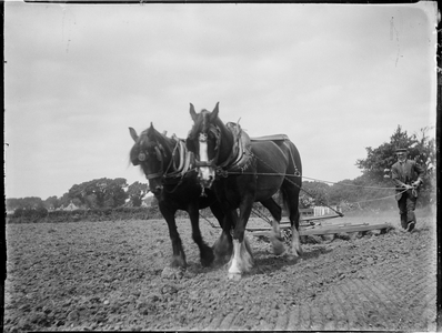 Easton, Freshwater, Isle Of Wight , 15/05/1914 (b/w photo)