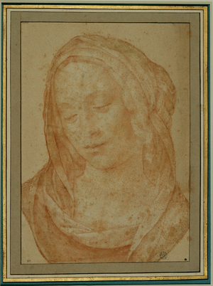 Portrait of a woman with veil …