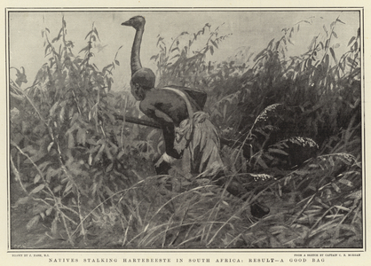 Natives stalking Hartebeeste in South Africa, Result, A Good Bag (engraving)