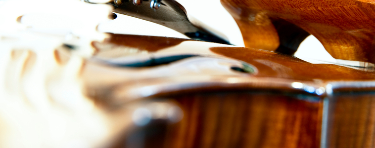 Violin