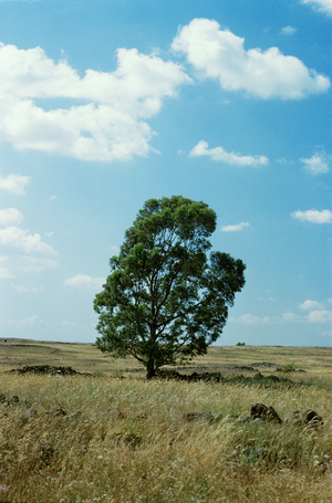 The Golan Heights, Israel (photo)