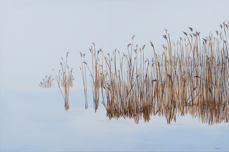 Winter Reeds, 2016 (acrylic on canvas)