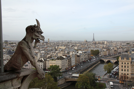View over Paris from Notre Dame Cathedral