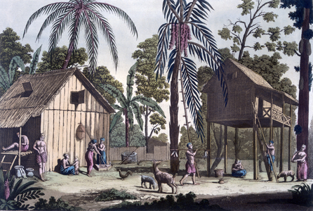 A native settlement in Sumatra, c.1820s-30s (coloured engraving)