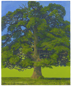 Spring Oak, First Flush, Rousham, 2017 (oil on linen)
