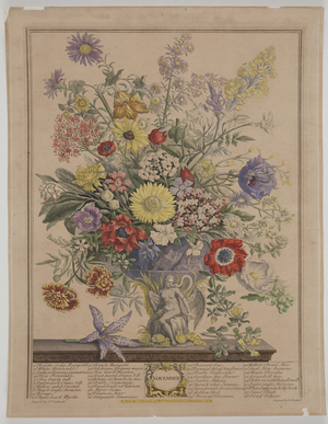 November 1730, 1730 (engraving)