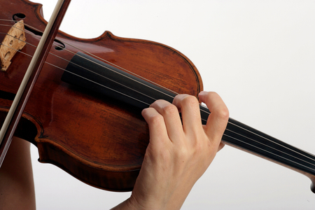 Viola - generic close-up