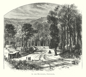 Australia: In the Mountains, Fernshaw (engraving)