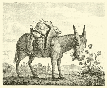 The ass eating thistles (engraving)