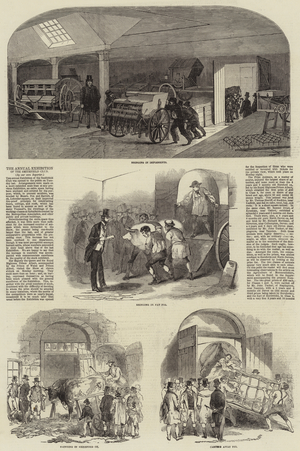 The Annual Exhibition of the Smithfield Club (engraving)