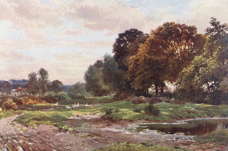 A Corner of Esher Common (colour litho)
