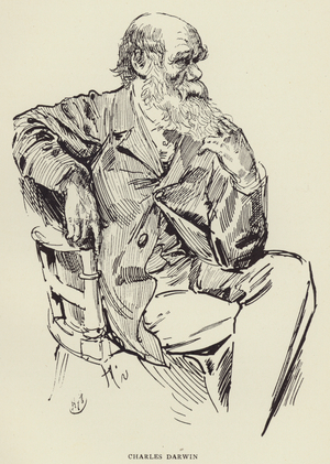 Charles Darwin (litho)