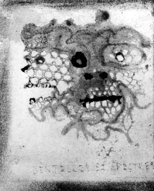 Laces and ghosts, drawing by Victor Hugo (1802-1885)