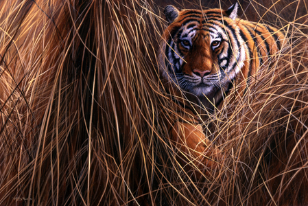 Tiger; 1998, acrylic on board