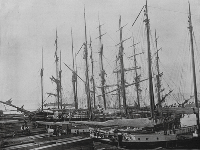 Tacoma, Washington, Shipping View (b/w photo)