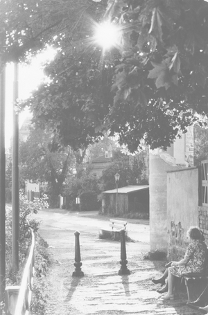 Dresden, historical, places, roads, districts, Residential areas to the …, 1990 (photo)