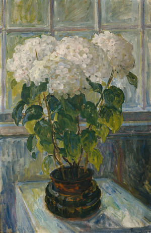 Hydrangea, 1911 (oil on canvas)