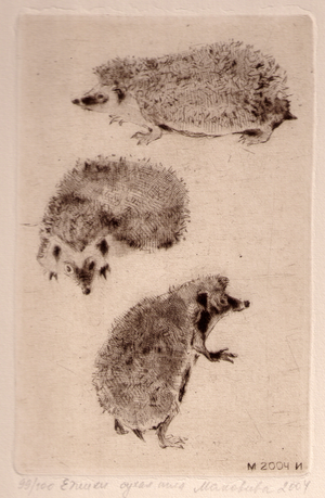 Hedgehogs, 2004 (drypoint)
