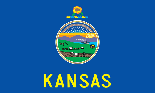 Kansas state flag