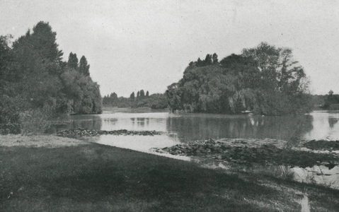 Germany: Lily Pool In Ostpark, Frankfort, Designed By AD Heicke, Garden Director (b/w photo)