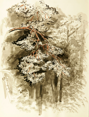 Trees, 1968 (tempera, w/c on paper)