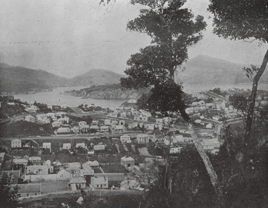 New Zealand, 1890s: Port Chalmers (b/w photo)