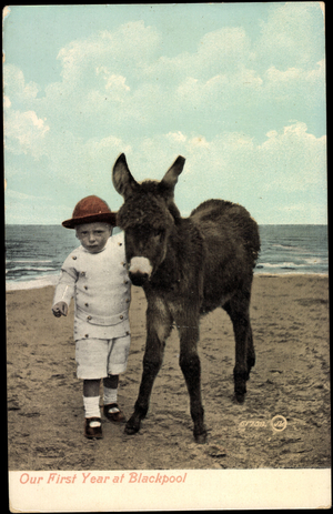 Donkey, Dwarf and Toddler with Red Hat on the Beach, Blackpool