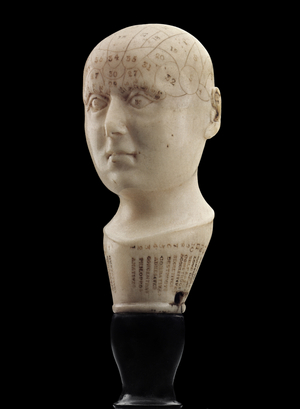HEAD phrenological, 1850