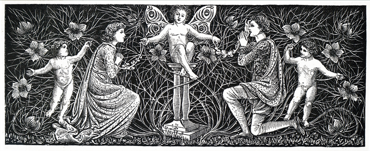 Fairies.