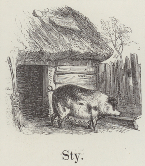 Sty (engraving)