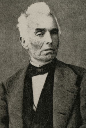 Portrait of Manuel Gibert Sans (1795-1873), Catalan military and lawyer (engraving)