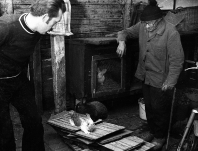 DEU, Germany, Ruhr Area: The Ruhr Area - Country and People - Work, Life, …, 1976 (photo)