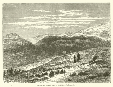 Grove of Oaks near Hazor, Joshua, xi, 1 (engraving)