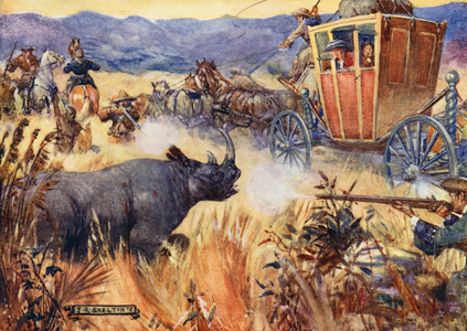 Simon Van der Stel and the Rhinoceros (colour litho)