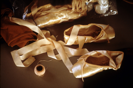 Ballet shoes (photo)