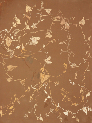 Leaves, 1975 (gouache on paper)