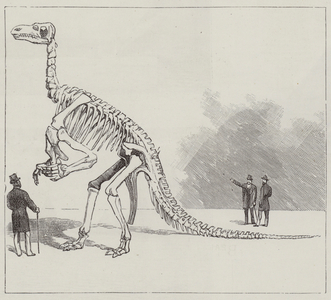 The Iguanodon of Bernissart (engraving)