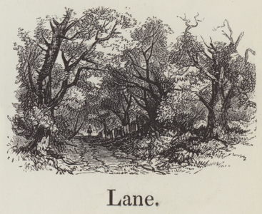 Lane (engraving)