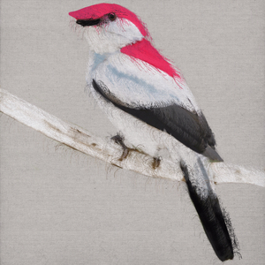 Birdy Birdy, 2019 (mixed media)