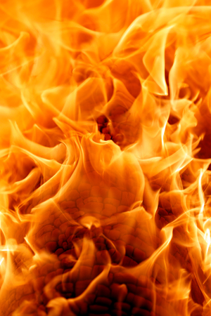 Close-up of burning firewood, Bac Son, Vietnam (photo)